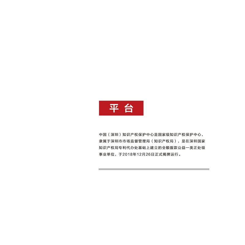 知保中心第十一期“论道”沙龙会刊(3)(1)_13.jpg